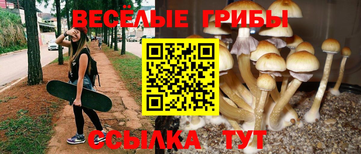 Псилоцибиновые грибы Magic Shrooms  где найти наркотики  Галлюциногенные грибы GOLDEN TEACHER  Юрга  Вход с VPN 